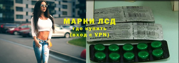 прущие грибы Пестово