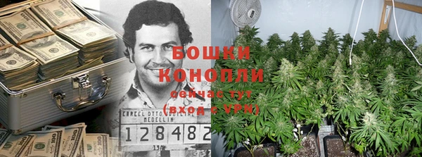 бошки Покачи