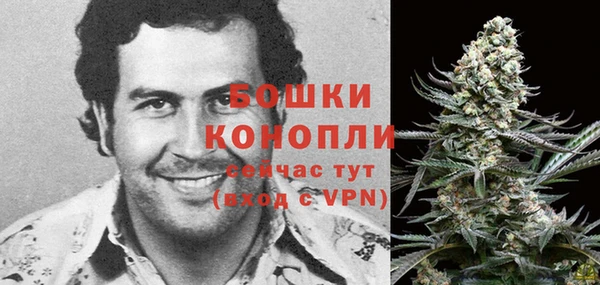прущие грибы Пестово