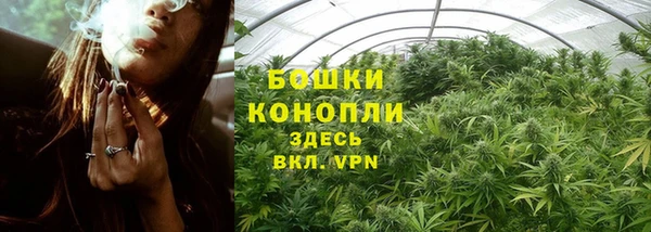 прущие грибы Пестово