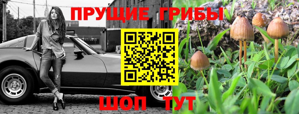 Галлюциногенные грибы мицелий Балашиха