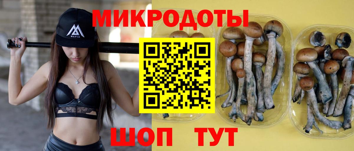 где продают   Вход с VPN  Галлюциногенные грибы Psilocybe  Балашиха  Псилоцибиновые грибы Magic Shrooms 